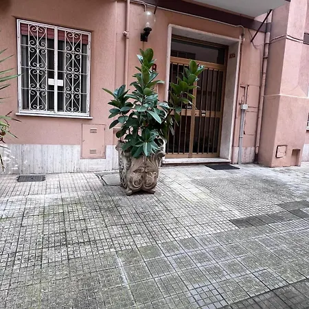 Urban House Monteverde *